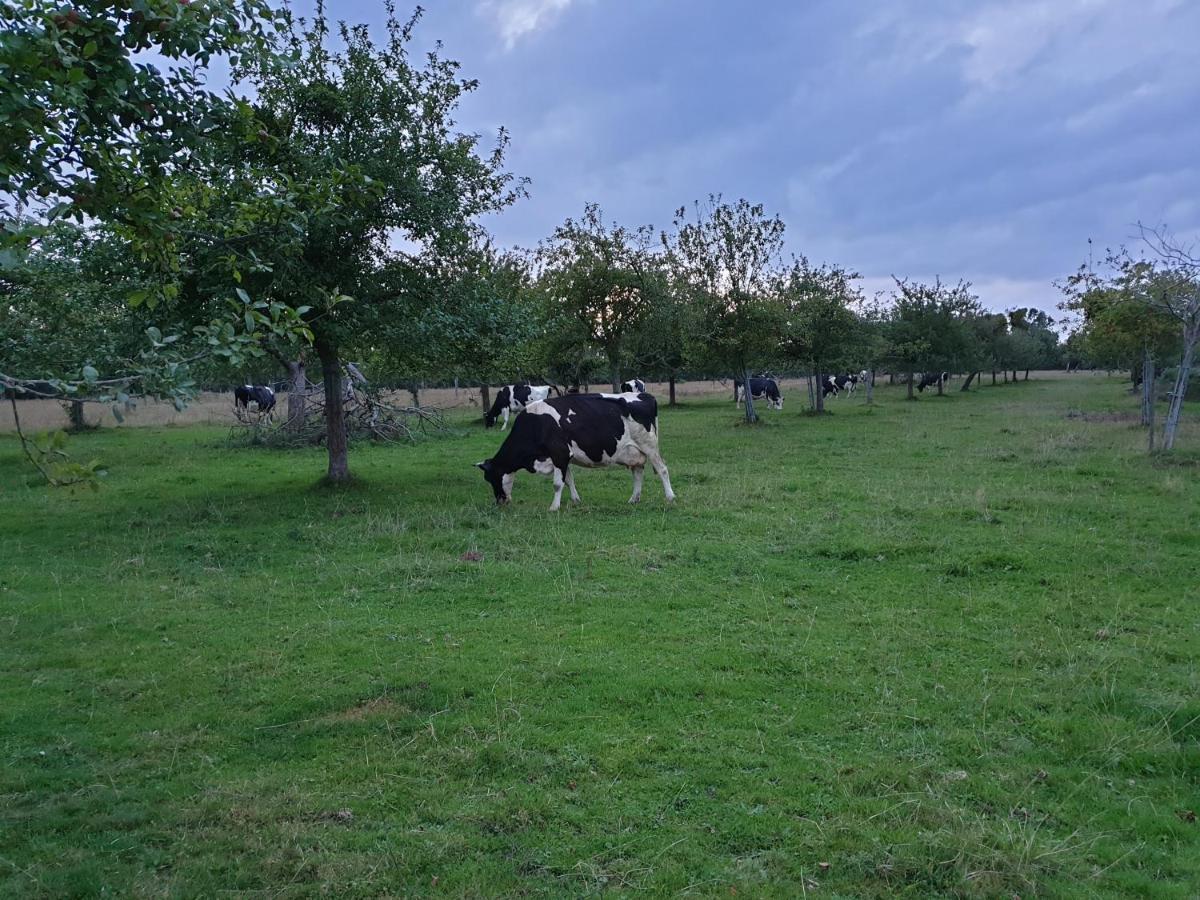 La Ferme Chevalier Hotel Équemauville Kültér fotó